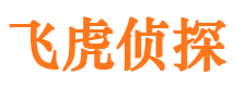 阳江外遇出轨调查取证